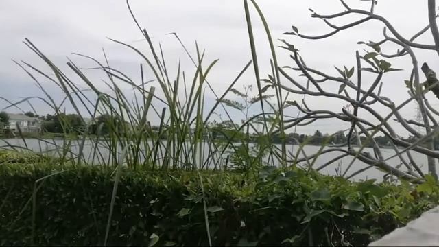 Renovate Your Live Your Heart And Your Soul смотреть онлайн