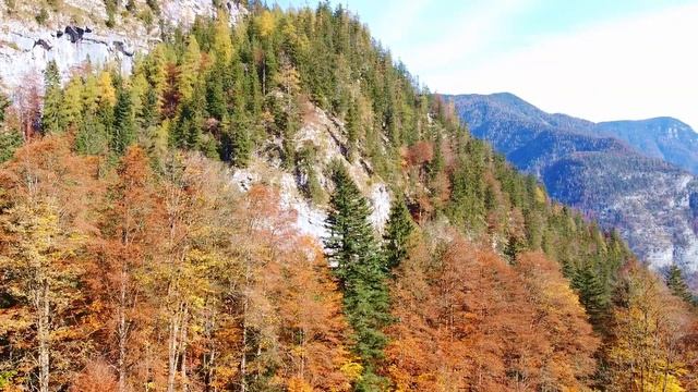 THE 5 BEST THINGS TO SEE AND DO IN HALLSTATT, Austria | Your travel guide for a day or weekend trip смотреть онлайн