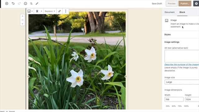 Text, Image, and Gallery Blocks in WordPress (Theme: 2020) смотреть онлайн