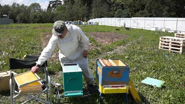 ? Как можно работать с пчелопакетами от Жукова ? смотреть онлайн