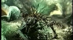 Многоклеточные животные. Тип Моллюски