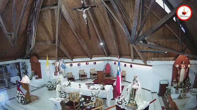 Liturgia en la Memoria de San Vicente de Paúl смотреть онлайн