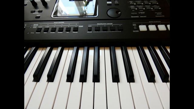 Trompeten-Echo - Slavko und Vilko Avsenik ( Cover by songcoverman ) смотреть онлайн
