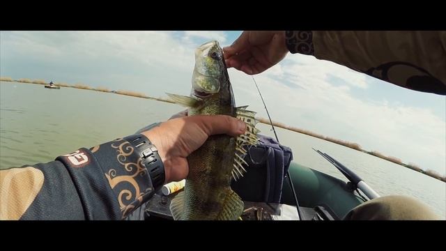 Первый опыт ловли судака. Волна Революции(Крым 2018) смотреть онлайн