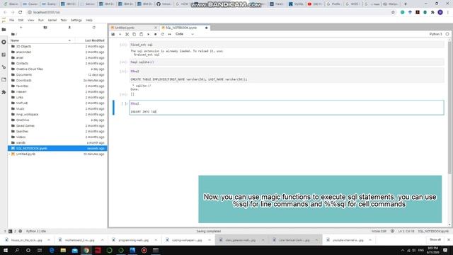 How to execute SQL statements in Jupyter Lab (PYTHON) смотреть онлайн