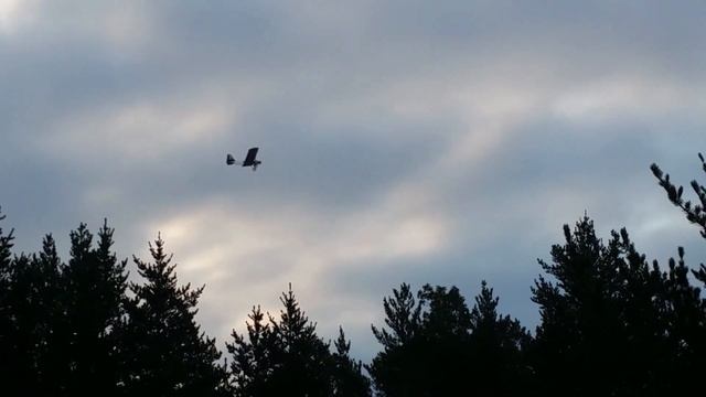 LEGAL EAGLE Ultralight | First Flight