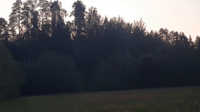 Сиверский. Лялин Луг! смотреть онлайн