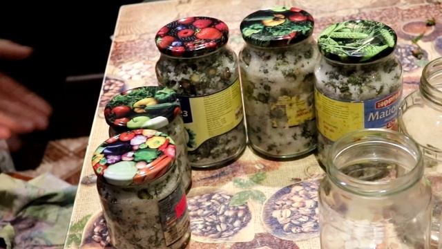 Автомобильные Приключения