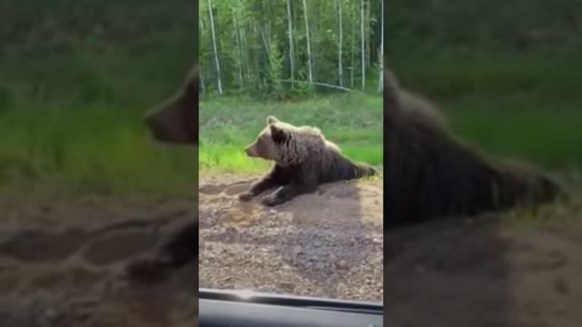 Как до Уфы доехать? Подскажи! смотреть онлайн