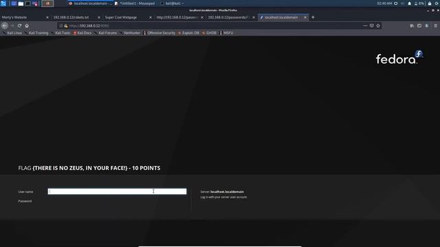 VulnHub RickdiculouslyEasy 1 Write-Up (OSCP) смотреть онлайн