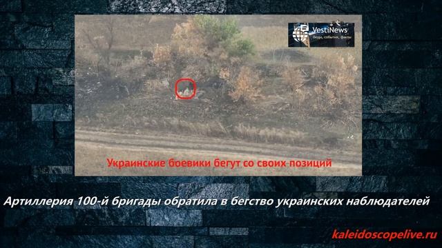 Артиллерия 100-й бригады обратила в бегство украинских наблюдателей смотреть онлайн