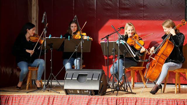 Kwartet smyczkowy Antidotum Quartet - Strangers in the night смотреть онлайн
