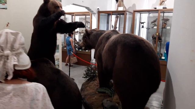20220819 161749 смотреть онлайн