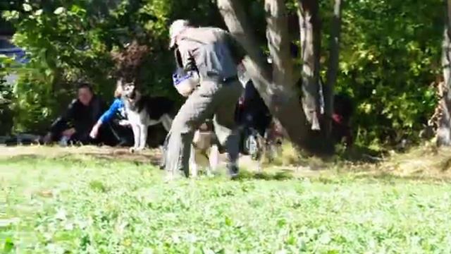 ПРК Волк 2 пуск смотреть онлайн