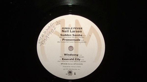 NEIL LARSEN - WINDSONG