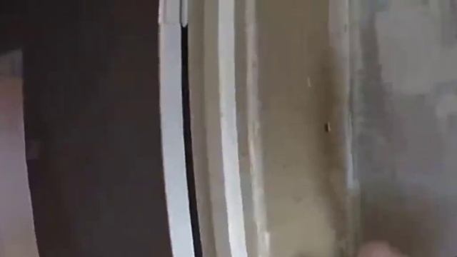 мини документалка о проекте кишлака 