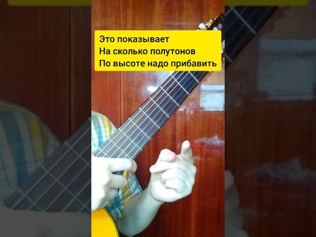 как поменять тональность +3 #каподастр #урокигитары #shorts смотреть онлайн