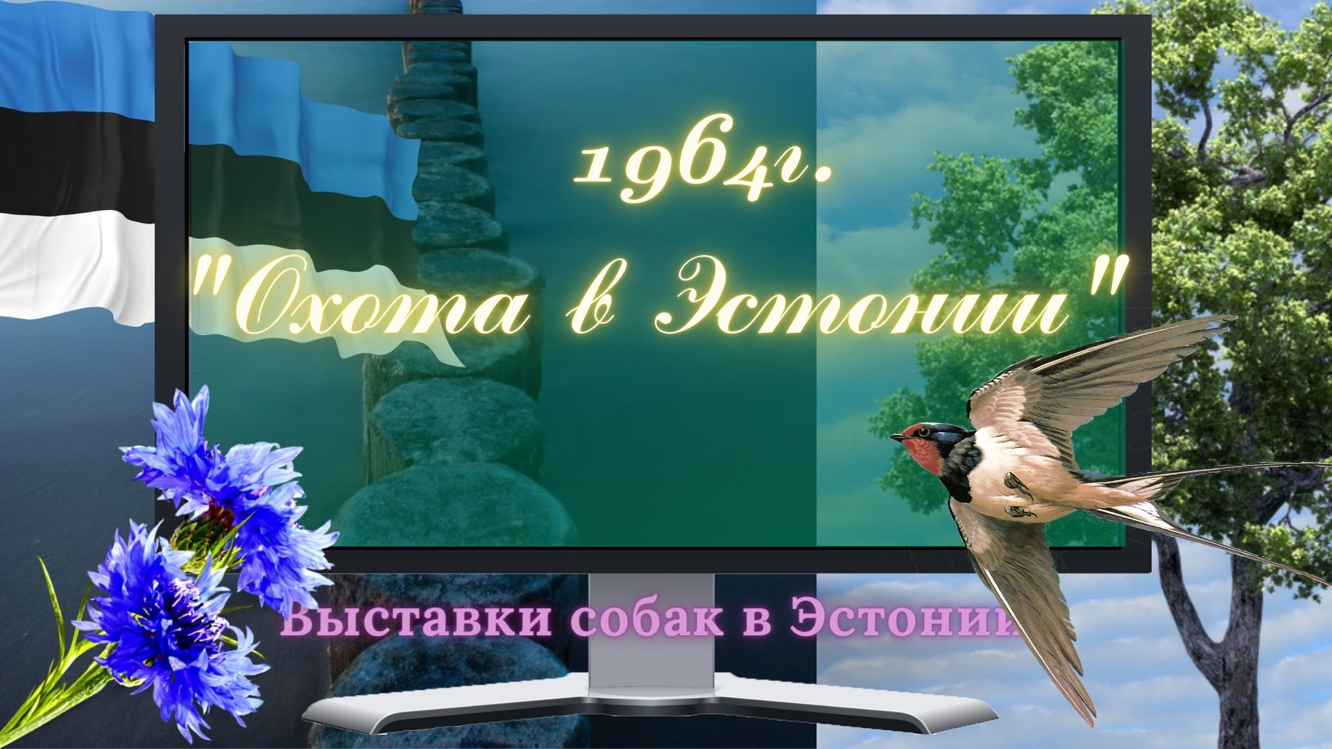 1964г. Охота в Эстонии