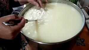 сыр голландский гауда бесплатный мастер класс. Как приготовить твёрдый выдержаный сыр. Рецепт