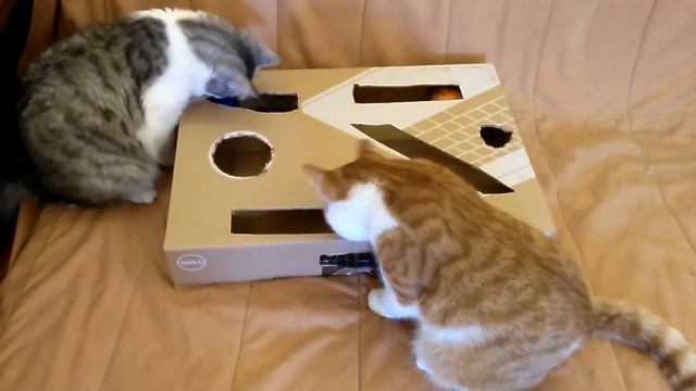 Pinball for cats (пинболл для котов handmade) смотреть онлайн