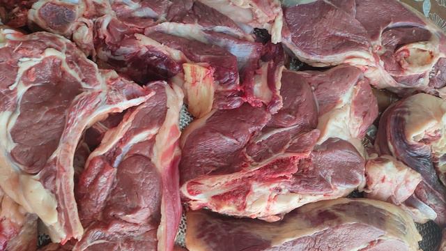 VID20240519111839.mp4