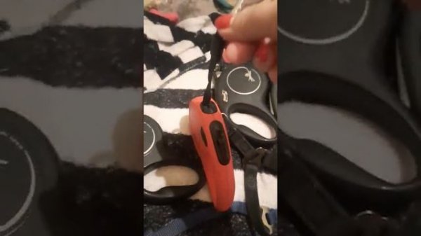 🐶💕 Ши-тцу́  狮子 Обзор поводков и шлеек наших питомцев.  🐶\Wonderful ShihTzu💕#пес #щенок #собака#шитц