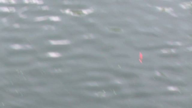 РЫБАЛКА на КРЮЧОК из ГВОЗДЯ или ПОПЛАВОЧНОЕ РАЗВЛЕЧЕНИЕ смотреть онлайн