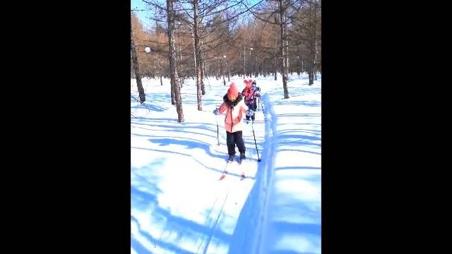 Мой любимый вид спорта смотреть онлайн