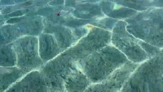 Грязное море - Элитная помойка Турции. Отдых испорчен 2022. смотреть онлайн