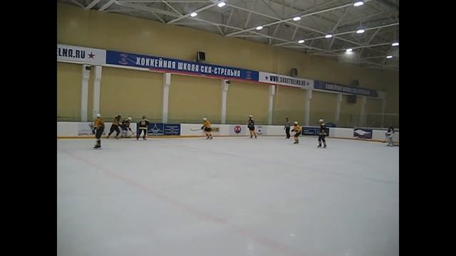 "Самсон-Петергоф-2" - ХК "КОБРА" имени Александра Ратникова (30.01.2016) смотреть онлайн