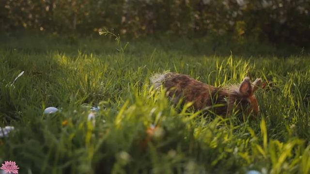 Успокаивающая музыка лечит сердце и успокаивает нервную систему🍀 Музыка для души и расслабления #38 смотреть онлайн