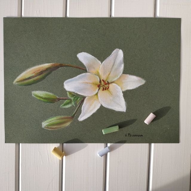 Обзор картины Белая лилия,сухая пастель смотреть онлайн