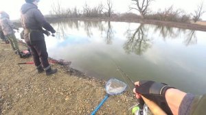 Озёра Адыгеи. South Trout Cup - мои первые форелевые соревнования! Часть 1. #форель #спиннинг #area