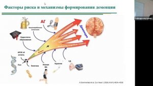 Коморбидный пациент в амбулаторной практике
Лекция 11. НАЖБП. Когнитивные расстройства