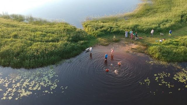 Купаемся в речке(Оредеж)26.06.2020 смотреть онлайн
