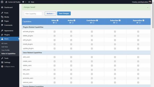 Crear Nuevos Roles de Usuario en WordPress: Asigna y Restringe Funciones como Quieras смотреть онлайн