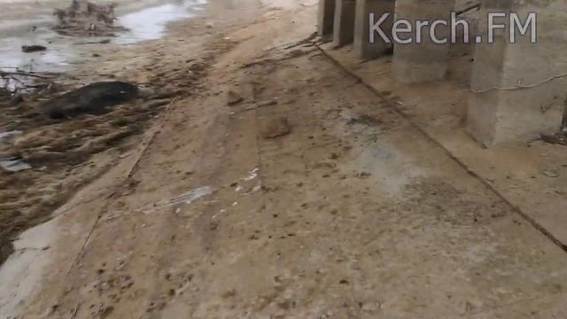 Северокрымский канал осушили полностью, трещины с ладонь смотреть онлайн