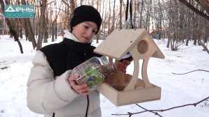 Кормушки для птиц.