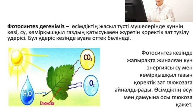 Өсімдіктердің тыныс алу, 7 сынып, биология смотреть онлайн
