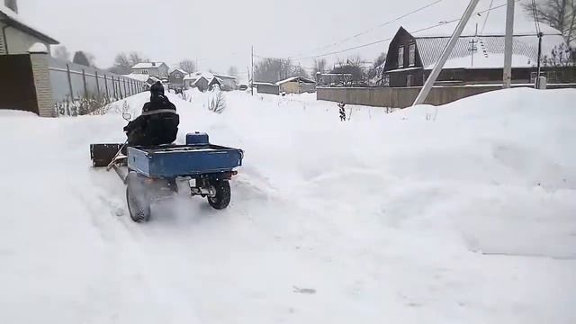 Муравей чистит снег смотреть онлайн
