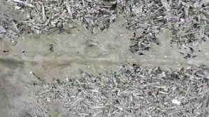 Штукатурка для арболита