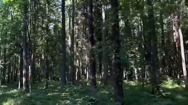 Воспоминания из Владимирской области - На часах ноль ноль смотреть онлайн