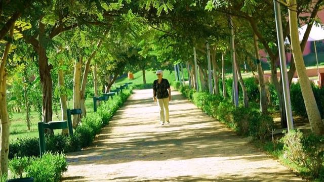Pyramisa Isis Island Aswan Resort & Spa 5* Египет смотреть онлайн