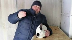 С чего начать разведение кроликов. Какие вопросы нужно решить в начале разведения кроликов.