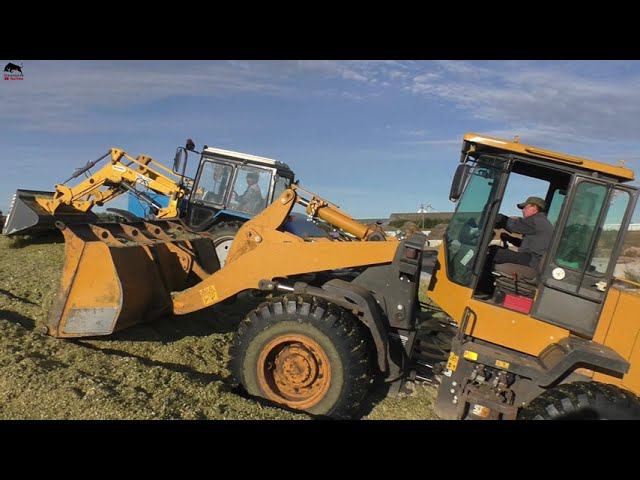 Дружным коллективом на заготовке силоса! смотреть онлайн