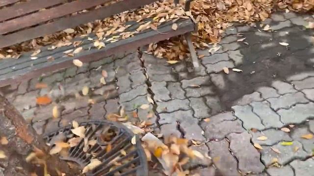 DEWALT송풍기 DCMBA572X1 초강력