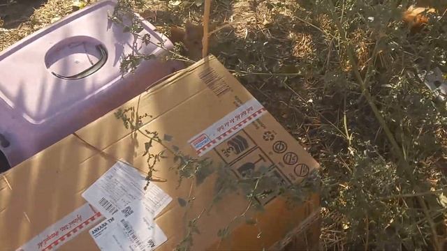 СОЦИАЛЬНАЯ СТОЛОВАЯ ДЛЯ УЛИЧНЫХ КОТОВ ! ЕДА ВОДА СПАЛЬНЫЕ МЕСТА