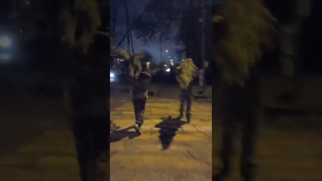 Как появилась ёлка у нас в этом году (за нами увязалась наша кошка, пришлось её нести на руках)😀 смотреть онлайн