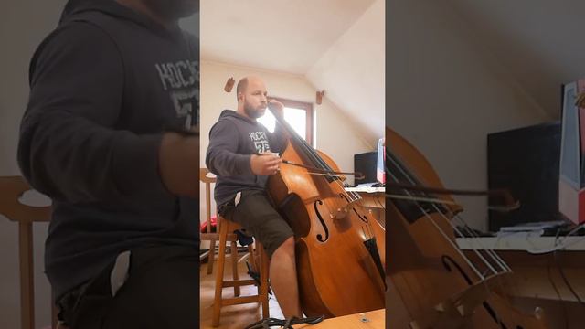 W.A.Mozart:Die Zauberflote,bass part смотреть онлайн