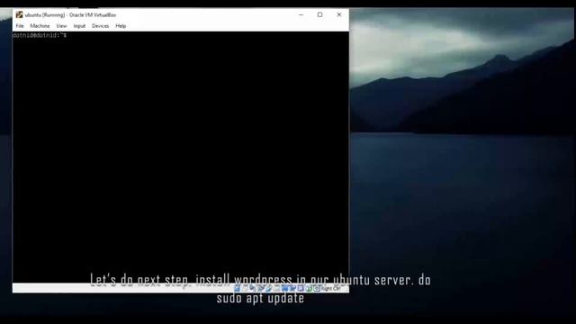 Install Ubuntu Server and configure NGINX, PHP7.2 and Wordpress смотреть онлайн